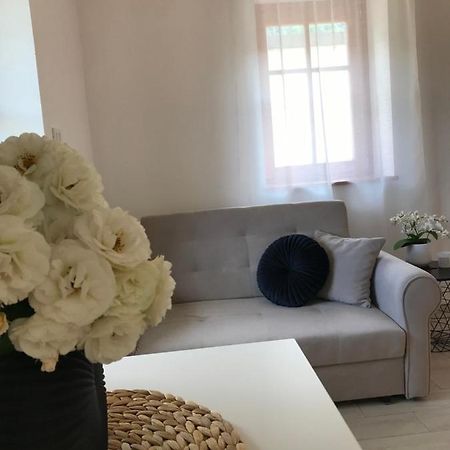 Apartma 64 Бовец Экстерьер фото